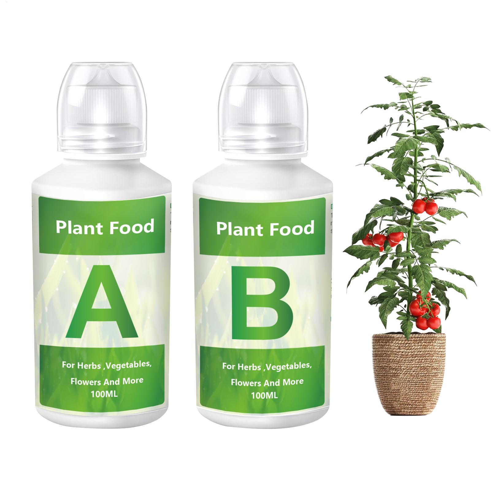 Nutrient Solution Ab - 水耕栽培用栄養剤肥料AB溶液セット 水耕栽培用植物栄養剤 庭園用植物肥料 ガーデナー、農家、栽培者向け