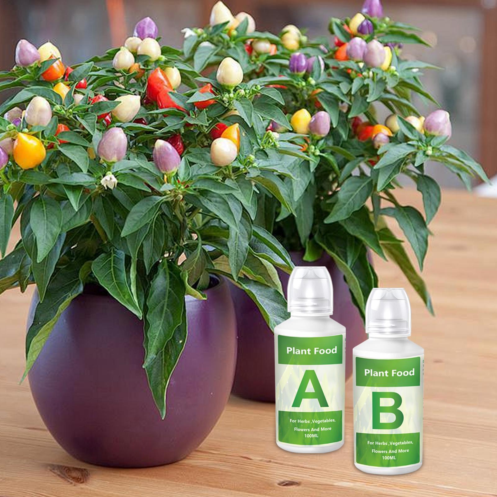 水耕栽培用養液肥料ABソリューションセット 水耕栽培用植物栄 - Nutrient Solution Ab のレビューと価格
